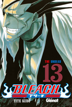 Image of Bleach, nº 13
