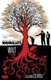 Cover of 100 Bullets Vol. 13