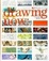 Cover of Drawing Now