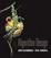 Cover of Algorithm Design