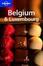 Cover of "Lonely Planet Belgium & Luxembourg"