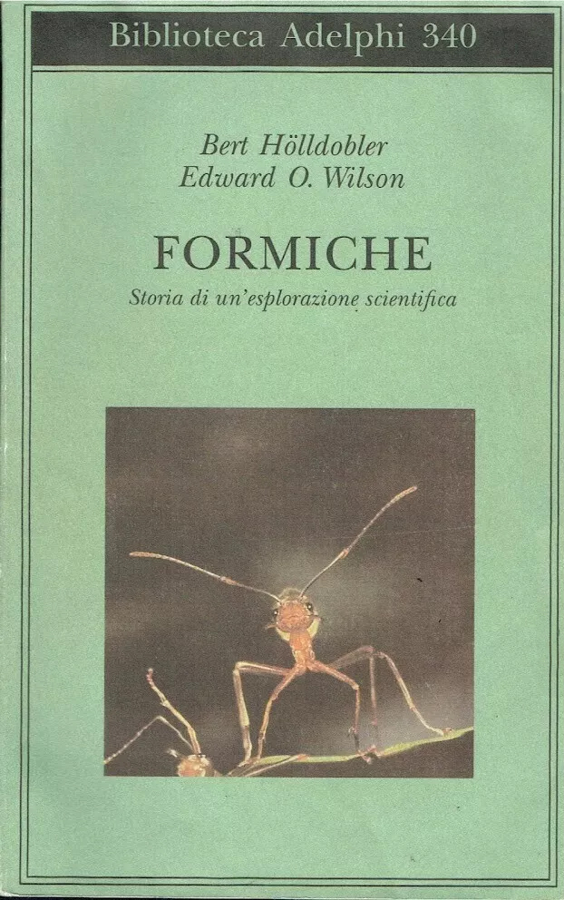 More about Formiche