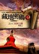 Cover of 藏地密碼之11︰冥河之路