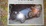 Cover of Le auto nobili