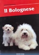 Cover of Il bolognese
