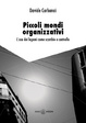 Cover of Piccoli mondi organizzativi