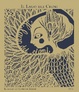 Cover of Il lago dei cigni