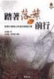 Cover of 踏著落葉前行