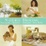 Cover of Natural Healing