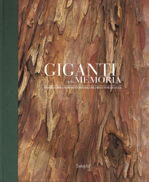 Image of Giganti della memoria