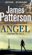 Cover of Maximum Ride