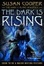 Cover of "The Dark Is Rising"