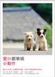 Cover of 愛的小動作