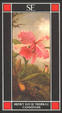 Cover of Camminare