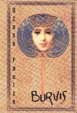 Cover of Burvis