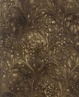 Cover of Eugene Carriere