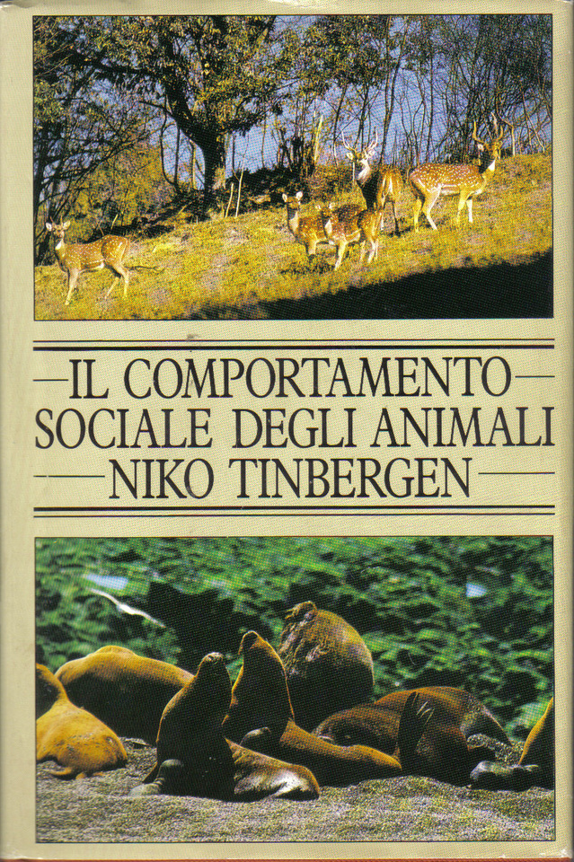 More about Il comportamento sociale degli animali