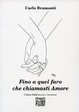 Cover of Fino a quel faro che chiamasti Amore