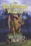 Cover of "The Oathbound Wizard"