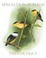 Cover of "Speciation in Birds"