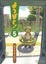 Cover of 'よつばと! 5'