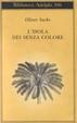 Cover of L'isola dei senza colore - ­L'isola delle cicadine