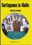 Cover of Garfagnana in giallo