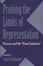 Cover of "Probing the Limits of Representation"