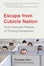 Cover of Escape from Cubicle Nation