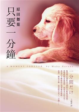 只要一分鐘的圖像