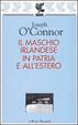 Cover of Il maschio irlandese in patria e all'estero