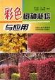 Cover of 彩色树种栽培与应用
