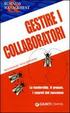 Cover of Gestire le riunioni