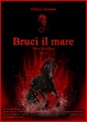Cover of Bruci il mare