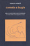 Cover of Cometa e bugie