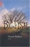Cover of "Big Fish"