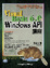 Cover of "Visual Basic6.0與Windows API講座"