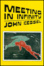 Cover of Meeting in Infinity