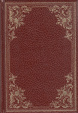 Cover of La lettera scarlatta