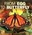 Cover of "From Egg to Butterfly"