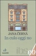 Cover of In culo oggi no