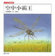 Cover of 空中小霸王