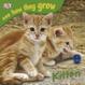 Cover of Kitten