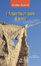 Cover of Il futuro ha un cuore di tenda