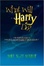 Cover of "What Will Harry Do? The Unofficial Guide to Payoffs and Possibilities in Book 7"