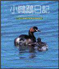 小[][]日記 : 一對小[][]的繁殖與育雛觀察