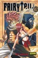 Cover of Fairy Tail, nº 12