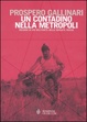 Cover of Un contadino nella metropoli