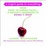 Cover of A Virgin's Guide to Everything
