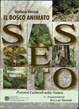 Cover of Sasseto. Il bosco animato